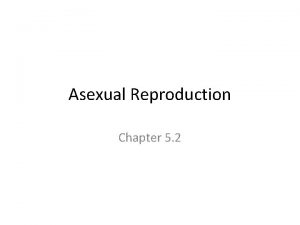 Asexual Reproduction Chapter 5 2 Asexual Reproduction Main