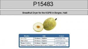 P 15483 Breadfruit Dryer for the KGPB in