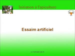 Initiation lapiculture Essaim artificiel La Champagne apicole 1