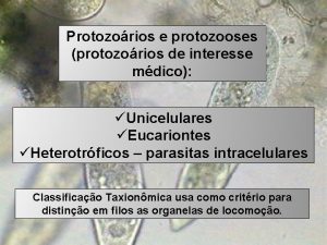 Protozorios e protozooses protozorios de interesse mdico Unicelulares