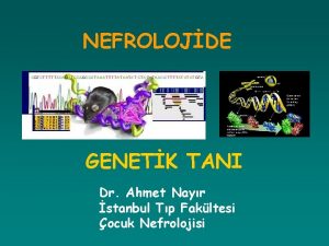 NEFROLOJDE GENETK TANI Dr Ahmet Nayr stanbul Tp