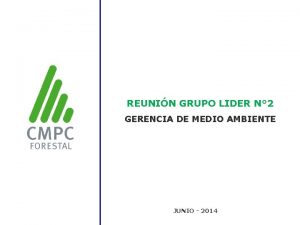 REUNIN GRUPO LIDER N 2 GERENCIA DE MEDIO