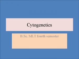 Cytogenetics B Sc MLT fourth semester Chromosome Abnormalities