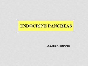 ENDOCRINE PANCREAS Dr Bushra AlTarawneh Main conditions DIABETES