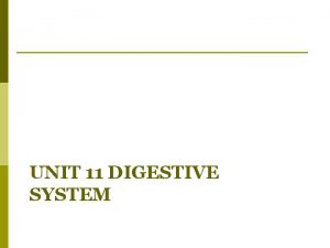 UNIT 11 DIGESTIVE SYSTEM Digestive System The 6