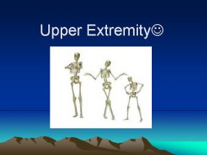 Upper Extremity Pectoral Girdle Aka shoulder girdle 2