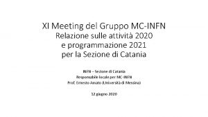XI Meeting del Gruppo MCINFN Relazione sulle attivit