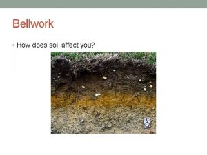 Bellwork How does soil affect you Todays Objectives