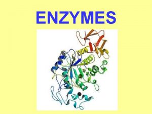 ENZYMES MACROMOLECULES Macromolecules are large organic carbon containing