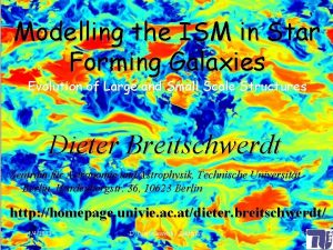 Modelling the ISM in Star Forming Galaxies Evolution