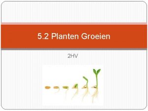 5 2 Planten Groeien 2 HV Plant en