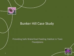 Bunker Hill Case Study Providing Safe Waterfowl Feeding