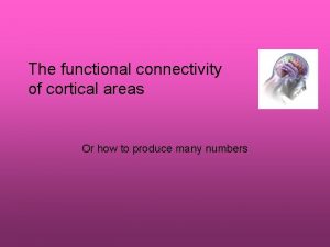 The functional connectivity of cortical areas Or how
