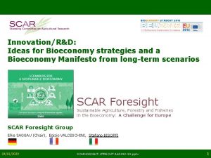 InnovationRD Ideas for Bioeconomy strategies and a Bioeconomy
