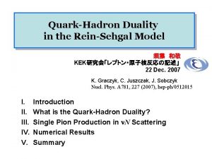 QuarkHadron Duality in the ReinSehgal Model KEK 22