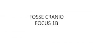 FOSSE CRANIO FOCUS 1 B FOSSA PTERIGOPALATINA Spazio