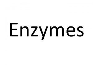 Enzymes Enzymes are biological catalysts They speed up