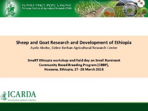 Sheep and Goat Research and Development of Ethiopia