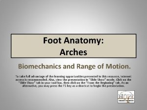 Foot Anatomy Arches Biomechanics and Range of Motion