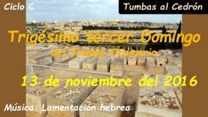 Ciclo C Tumbas al Cedrn Trigsimo tercer Domingo