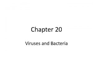 Chapter 20 Viruses and Bacteria I Viruses A