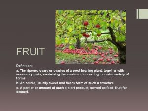 FRUIT Definition a The ripened ovary or ovaries