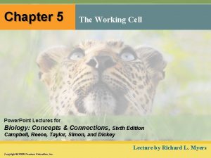 Chapter 5 The Working Cell Power Point Lectures