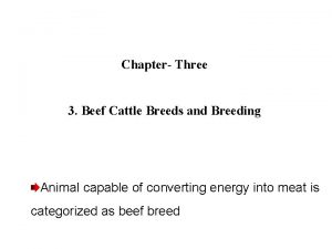 Chapter Three 3 Beef Cattle Breeds and Breeding