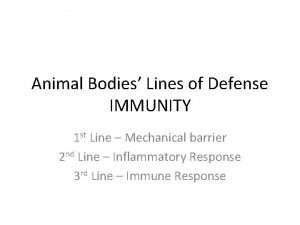 Animal Bodies Lines of Defense IMMUNITY 1 st