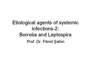 Etiological agents of systemic infections2 Borrelia and Leptospira