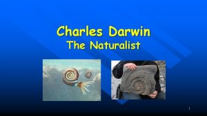 Charles Darwin The Naturalist 1 Charles Darwin n