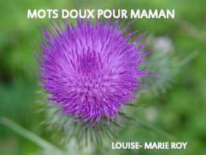 MOTS DOUX POUR MAMAN LOUISE MARIE ROY Cest
