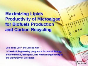 Maximizing Lipids Productivity of Microalgae for Biofuels Production