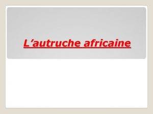 Lautruche africaine Lautruche est le plus grand oiseau