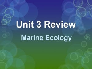 Unit 3 Review Marine Ecology Unit 3 Review