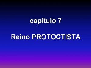 captulo 7 Reino PROTOCTISTA seres unicelulares eucariontes seres