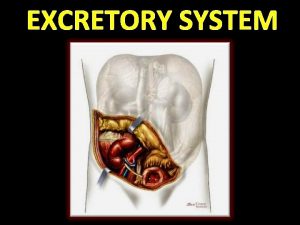 EXCRETORY SYSTEM If you knew there was poison