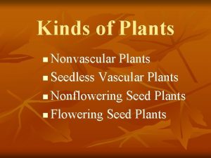 Kinds of Plants Nonvascular Plants n Seedless Vascular