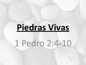 Piedras Vivas 1 Pedro 2 4 10 Introduccion