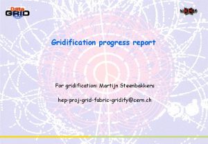 Gridification progress report For gridification Martijn Steenbakkers hepprojgridfabricgridifycern