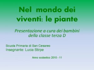 Nel mondo dei viventi le piante Presentazione a