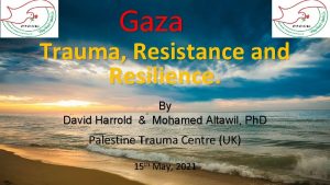 Gaza Trauma Resistance and Resilience By David Harrold