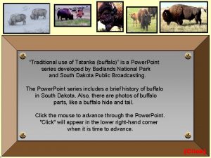 Traditional use of Tatanka buffalo is a Power