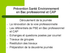 Prvention Sant Environnement en Bac professionnel et CAP