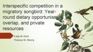 Interspecific competition in a migratory songbird Yearround dietary