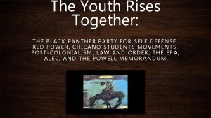 The Youth Rises Together THE BLACK PANTHER PARTY