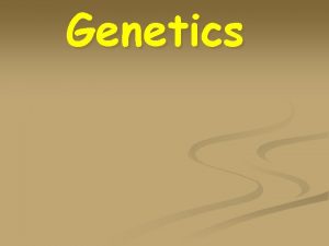 Genetics WHAT IS GENETICS n The branch of