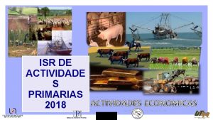 ISR DE ACTIVIDADE S PRIMARIAS 2018 PM Y