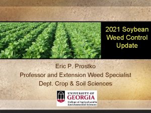 2021 Soybean Weed Control Update Eric P Prostko