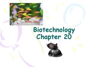 Biotechnology Chapter 20 Gene technology Biotechnology Manipulation of